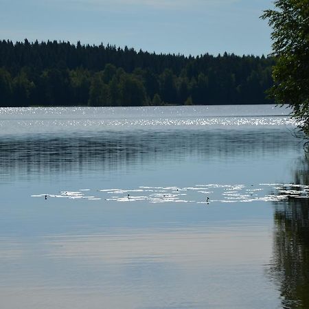 Pappilanniemi Course Centre Otel Lempäälä Dış mekan fotoğraf